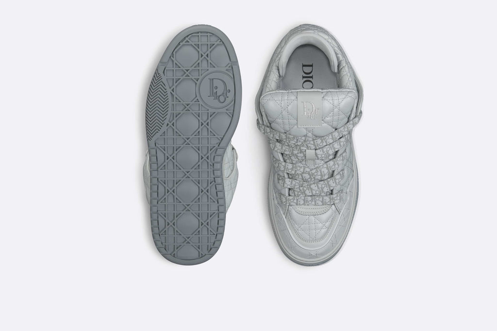 DIOR BY ERL B9S SKATER SNEAKER IN GREY