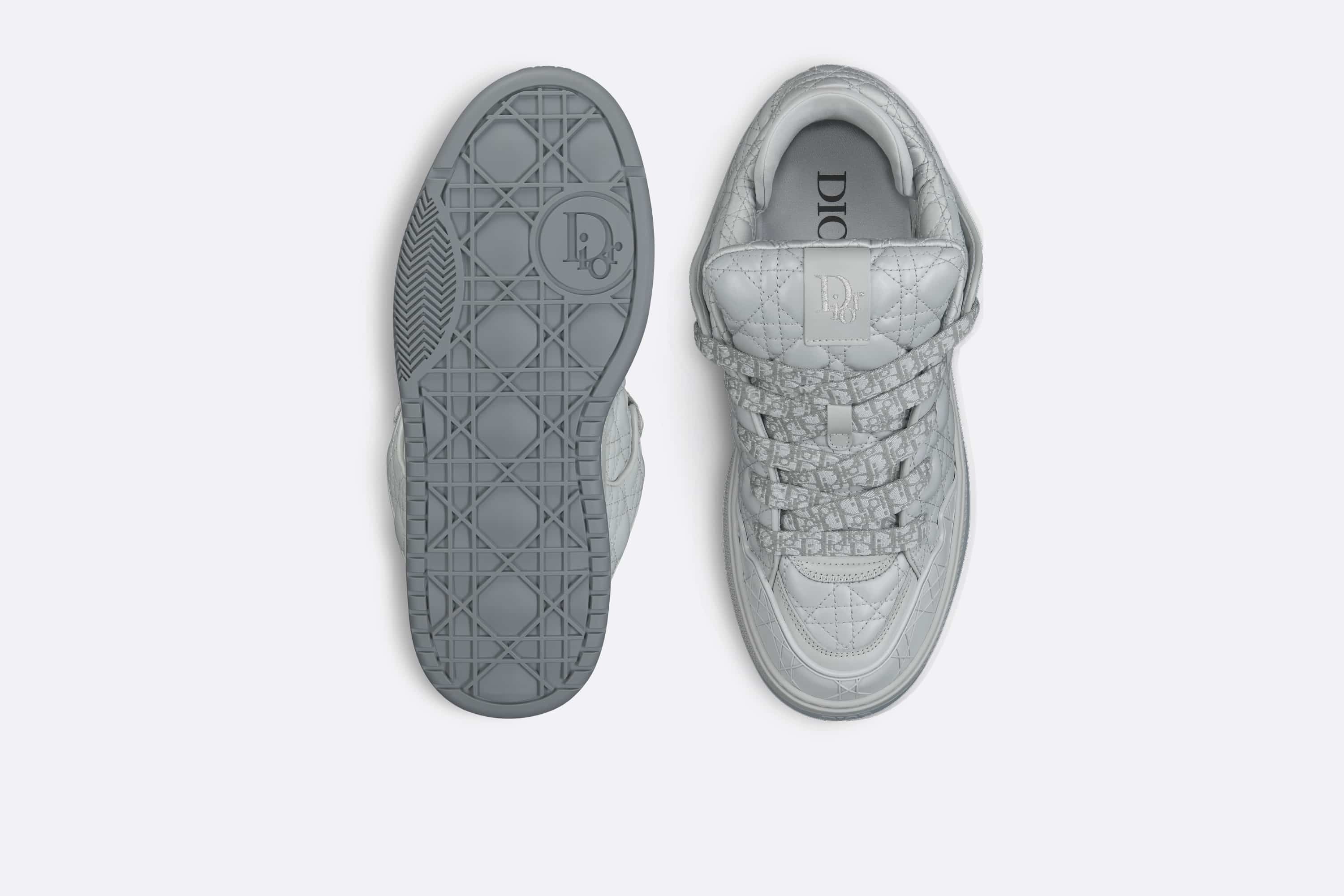 DIOR BY ERL B9S SKATER SNEAKER IN GREY