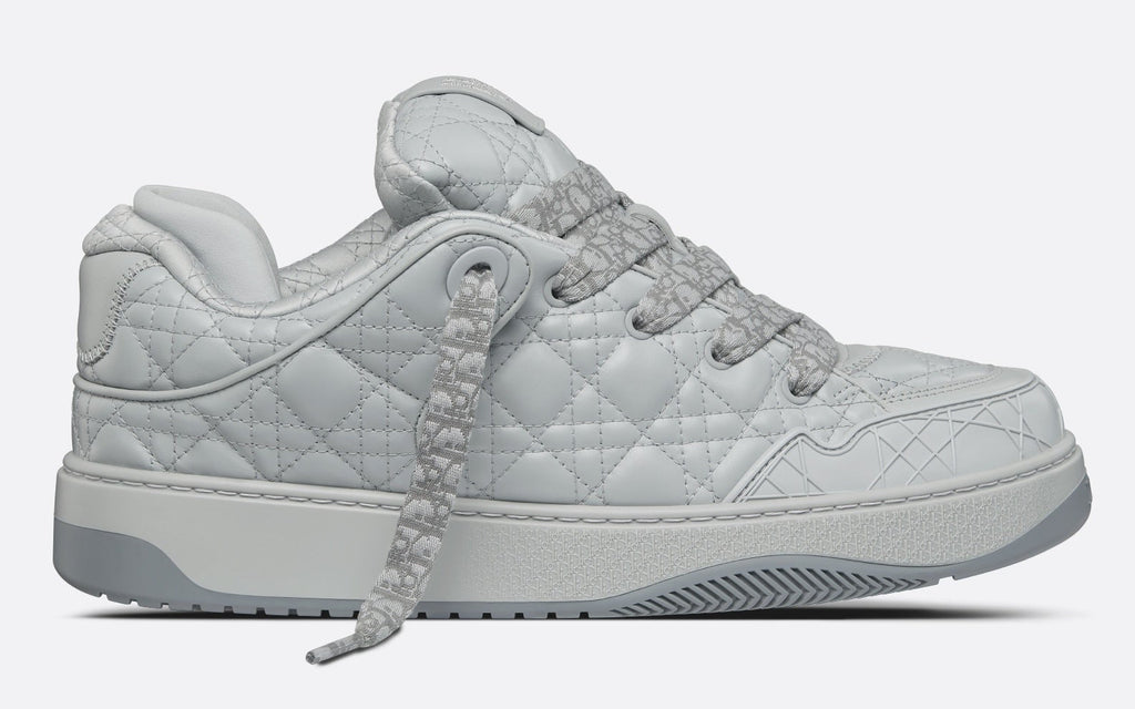 DIOR BY ERL B9S SKATER SNEAKER IN GREY