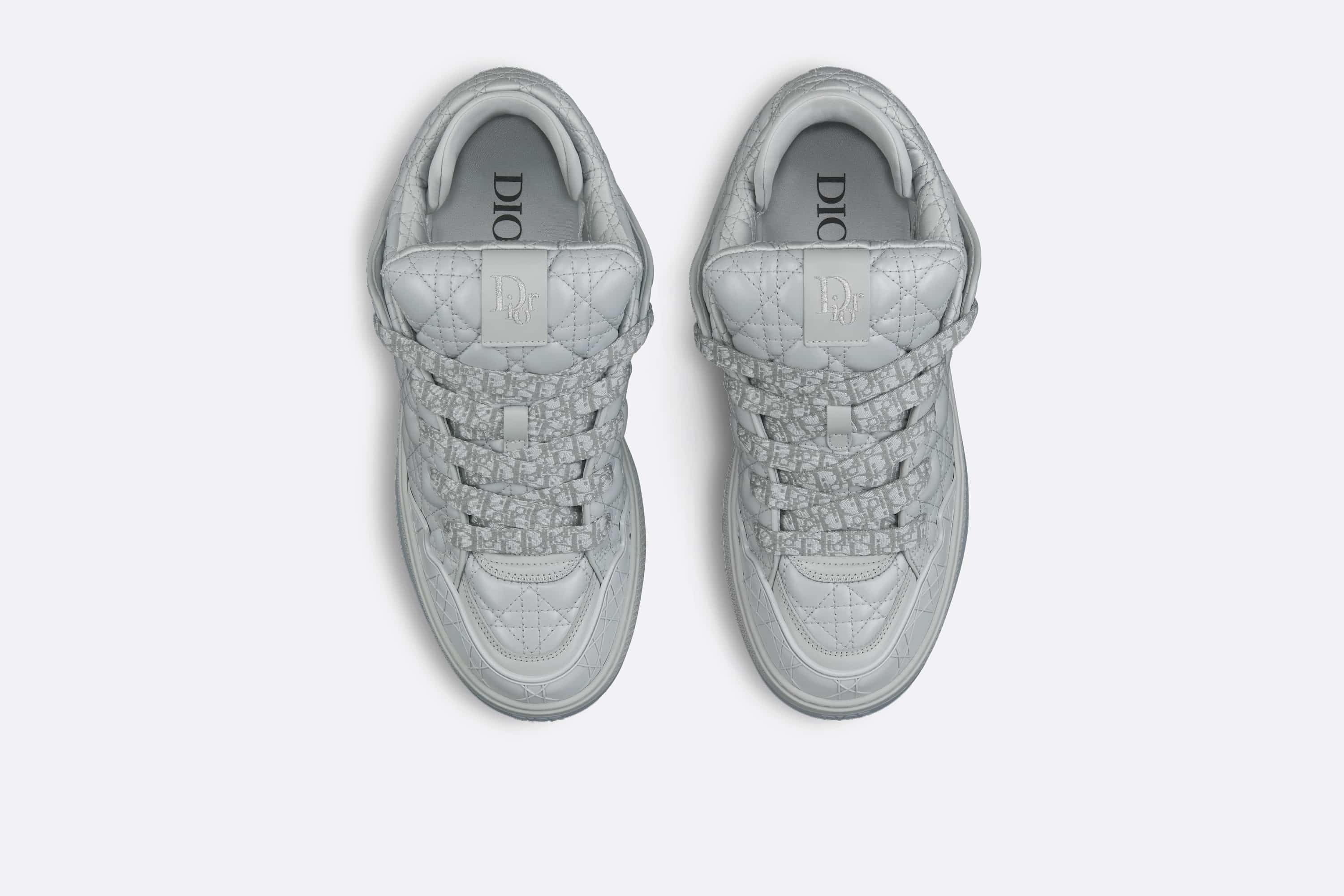 DIOR BY ERL B9S SKATER SNEAKER IN GREY