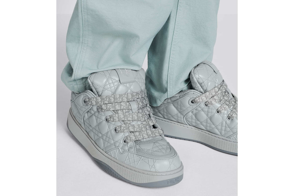 DIOR BY ERL B9S SKATER SNEAKER IN GREY