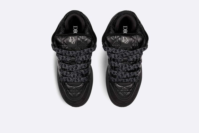 DIOR B9S SKATER ERL SNEAKER IN BLACK