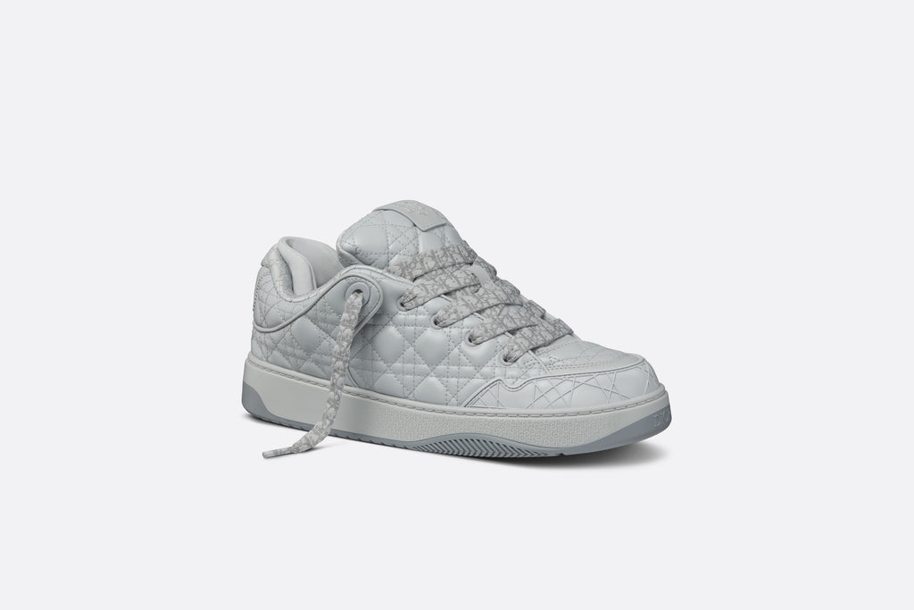 DIOR BY ERL B9S SKATER SNEAKER IN GREY