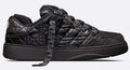 DIOR B9S SKATER ERL SNEAKER IN BLACK