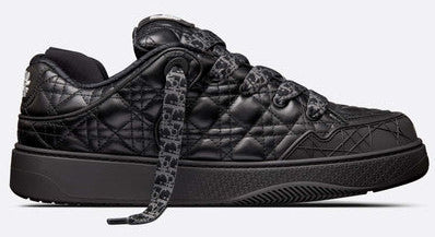 DIOR B9S SKATER ERL SNEAKER IN BLACK