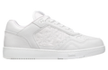 DIOR B27 LOW WHITE GRAINED CALFSKIN / WHITE GRAVITY LEATHER