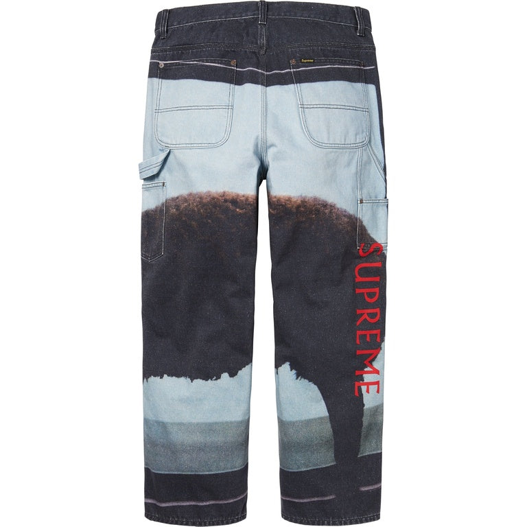 SUPREME/DAMIEN HIRST PAINTER JEAN